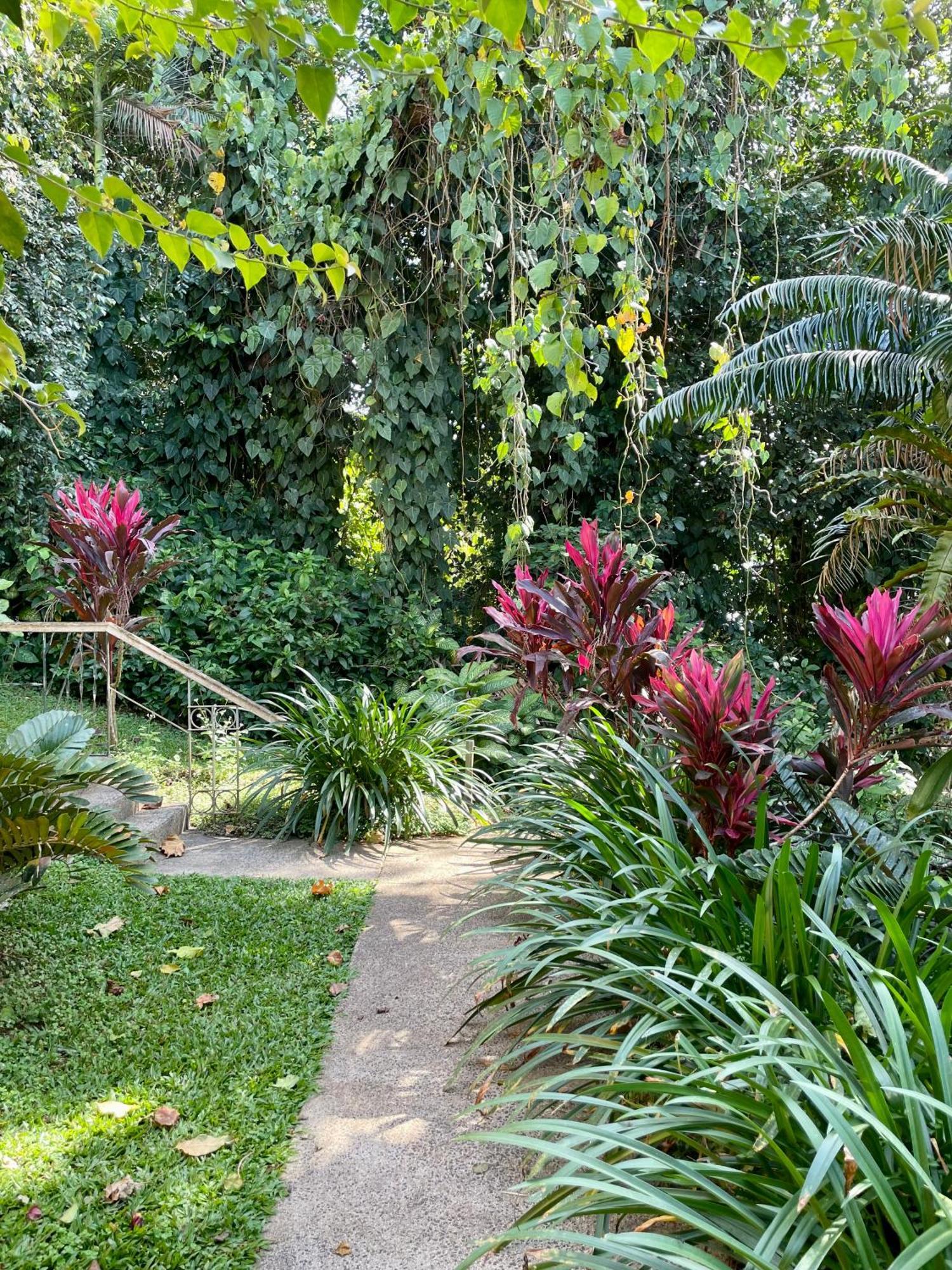 Babinda Quarters Hotel Bagian luar foto