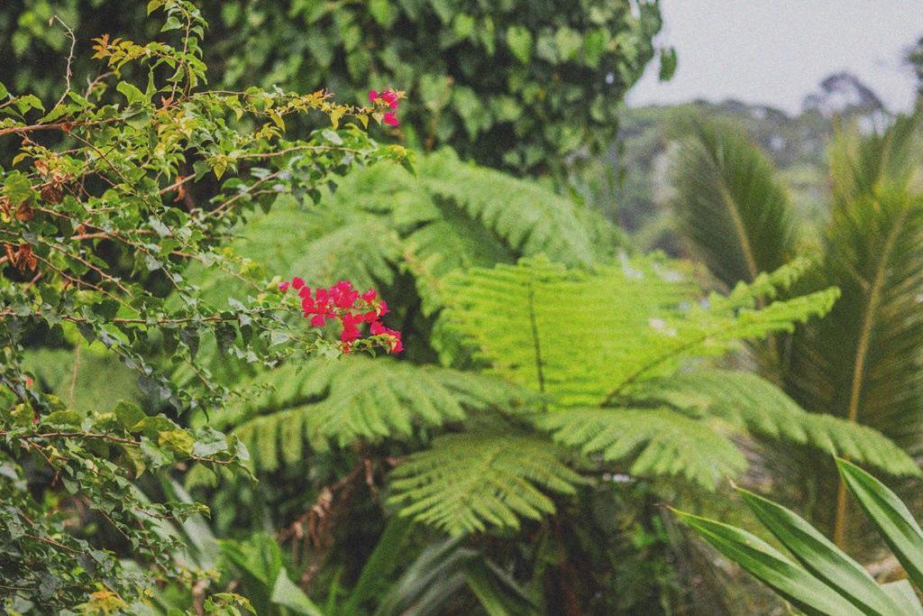 Babinda Quarters Hotel Bagian luar foto