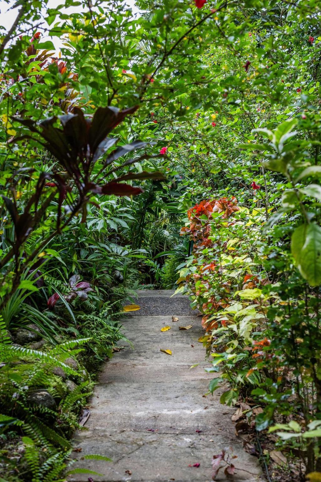 Babinda Quarters Hotel Bagian luar foto